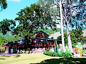 老樹老故事　看見「檨仔腳」寶來到了