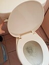 家中最髒不是馬桶？專家點名「這家具」細菌量高出75倍　養毛孩更危險