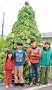 哈家風　全台最大刈菜耶誕樹