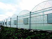 住在植物豪宅　作物不怕天災