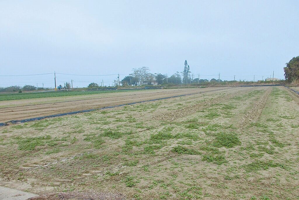 嘉義縣陳男違法捕撈魚遭罰鍰未繳納,名下農地遭查封法拍額還不夠繳清罰鍰。圖/執行署嘉義分署提供