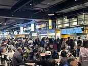過半成年人膽固醇太高！醫揭「10大觀念」破迷思：奶油蛋糕比滷肉飯更不健康