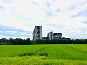 兄弟分開繼承房地　稅務局示警：地價稅恐無法享優稅