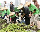 空中光電農園啟用　陳菊盼建物天空更美麗