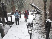 太平山下雪囉！　遊客樂堆白雪小鴨