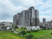 蘆竹社宅2天3幼貓墜樓身亡　竟是租戶丟貓不管出國玩