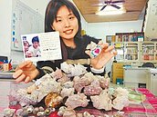 新年換新厝　綠島寄居蟹　喜獲日本小豪宅