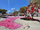 台南河樂廣場粉紅球　被批像福壽螺卵