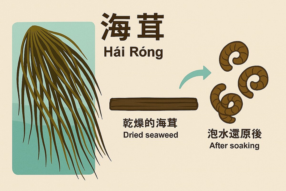 「海茸」,正式名稱是「叢梗藻」,又被稱作「南極公牛藻」。圖/菜販廖炯程臉書