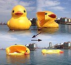 基隆小鴨爆頭！　網友KUSO：小鴨怕藍