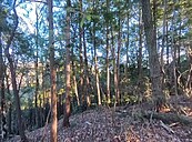 台男疑登山失蹤10天無音訊　日本女房東急號召民眾入山協尋