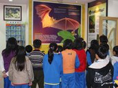 黃金蝙蝠生態館　環境教育通過國家認證