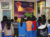 黃金蝙蝠生態館　環境教育通過國家認證