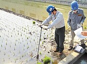 農田疑受汙染　高市擴大採樣