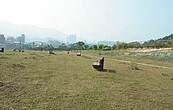 七堵百福公園草地　沒樹沒涼亭沒人氣