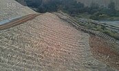 大肚山綠地坡面整治　中市府檢查是否影響生態