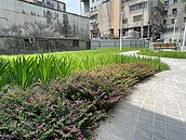 蘆洲再添綠地！「新社區公園」打造鄰里休憩空間