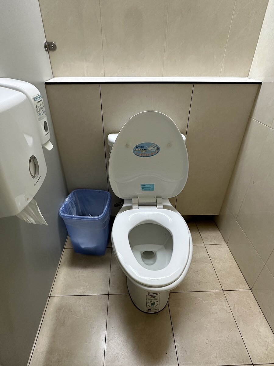 因應高齡化趨勢,台灣公廁坐式馬桶有增多趨勢。記者王慧瑛/攝影