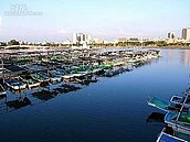 安平港為國際花卉拍賣市場　賴清德極力爭取