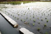 重金屬廢水污染灌溉系統　彰化水利會擬定整治計畫