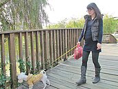 高市左營、三民「兩岸三通」　3橋命名