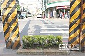 花圃擋道　過馬路如走鋼絲