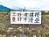 台東壘球場傳見骨意外　民代促修繕
