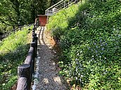 紫東社區環境改善完工　打造賞螢亮點