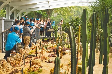 歷經1年時間整修,墾丁國家森林遊樂區「多肉植物展示區」3日重啟,重新定位為獨具特色的環教場域與景點。(謝佳潾攝)