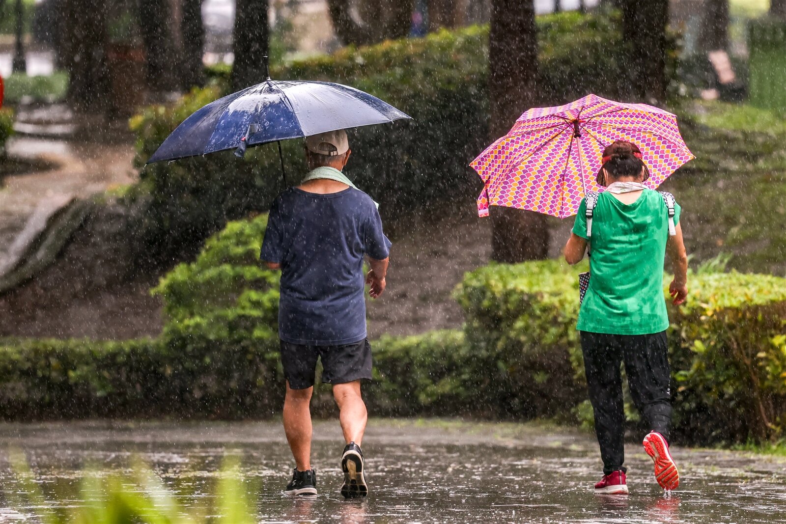 未來10天大致午後西北雨的天氣型態，其中在周六至下周一西半部清晨易有零星短暫雨。記者葉信菉／攝影 