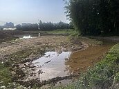 農地遭倒廢土積水恐成蚊子窩　桃園加快防治