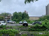 桃園一國小旁土地荒廢40年　變菜園停車場交通瓶頸惹議