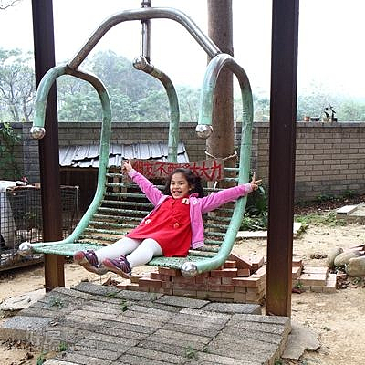 15.李榮峰、林姿媚親手設計的盪鞦韆,是孩子們的最愛。
