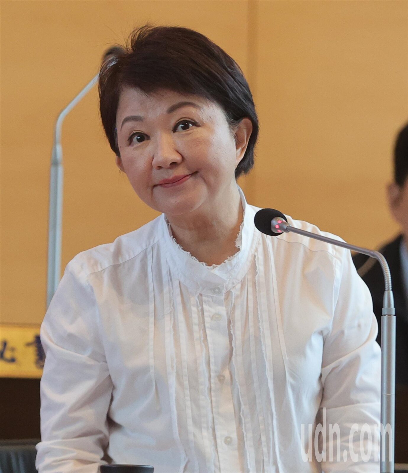 針對超巨蛋興建,台中市長盧秀燕表示,民間自提跟政府興辦BOT本質上有差異。記者黃仲裕/攝影