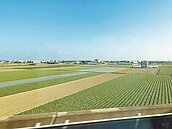 良田變稅坑　農地繼承要留意「隱形地雷」