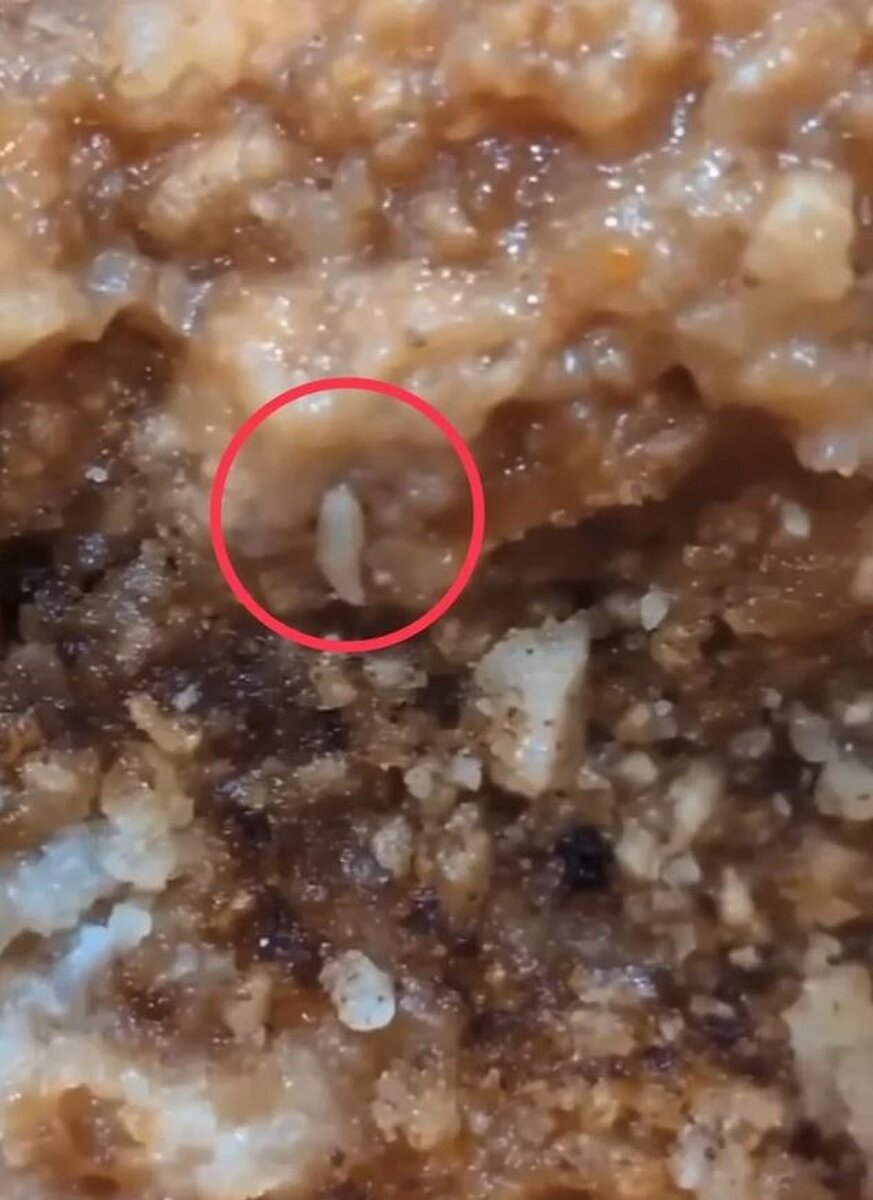 有民眾於網路社群爆料,中壢某科技大廠團膳炸好的排骨麵衣中,疑似有蛆,PO網公審,並強調「不是第一次」,也有其他員工於底下留言表示,身為員工一直都覺得公司的伙食一直都很有問題,之前反應過根本沒用。圖/翻攝自Threads