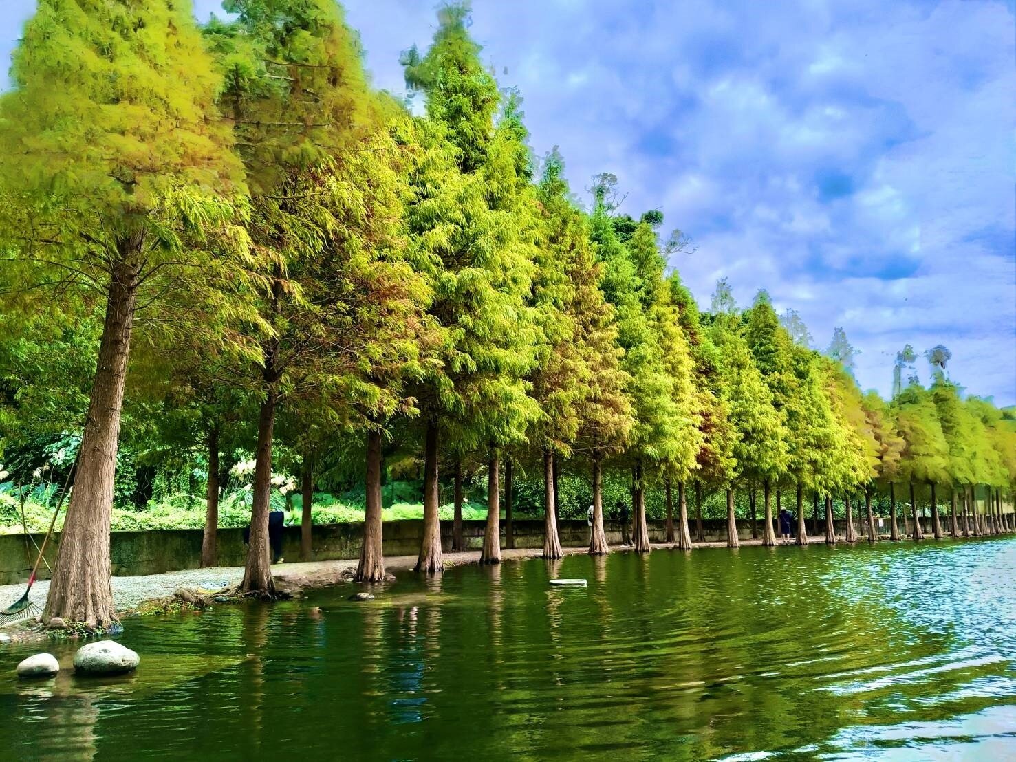 大溪水資中心以「藍金工廠」為主題,開設一系列環教體驗課程。圖:水務局提供