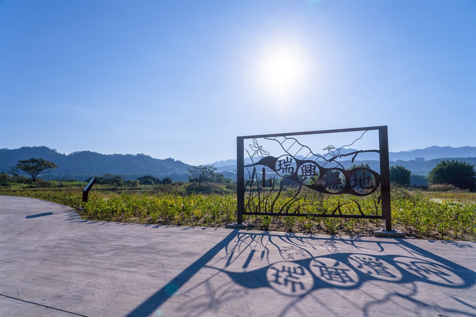 月眉濕地與瑞興濕地為串聯大溪水資中心的重要生態節點。圖:水務局提供