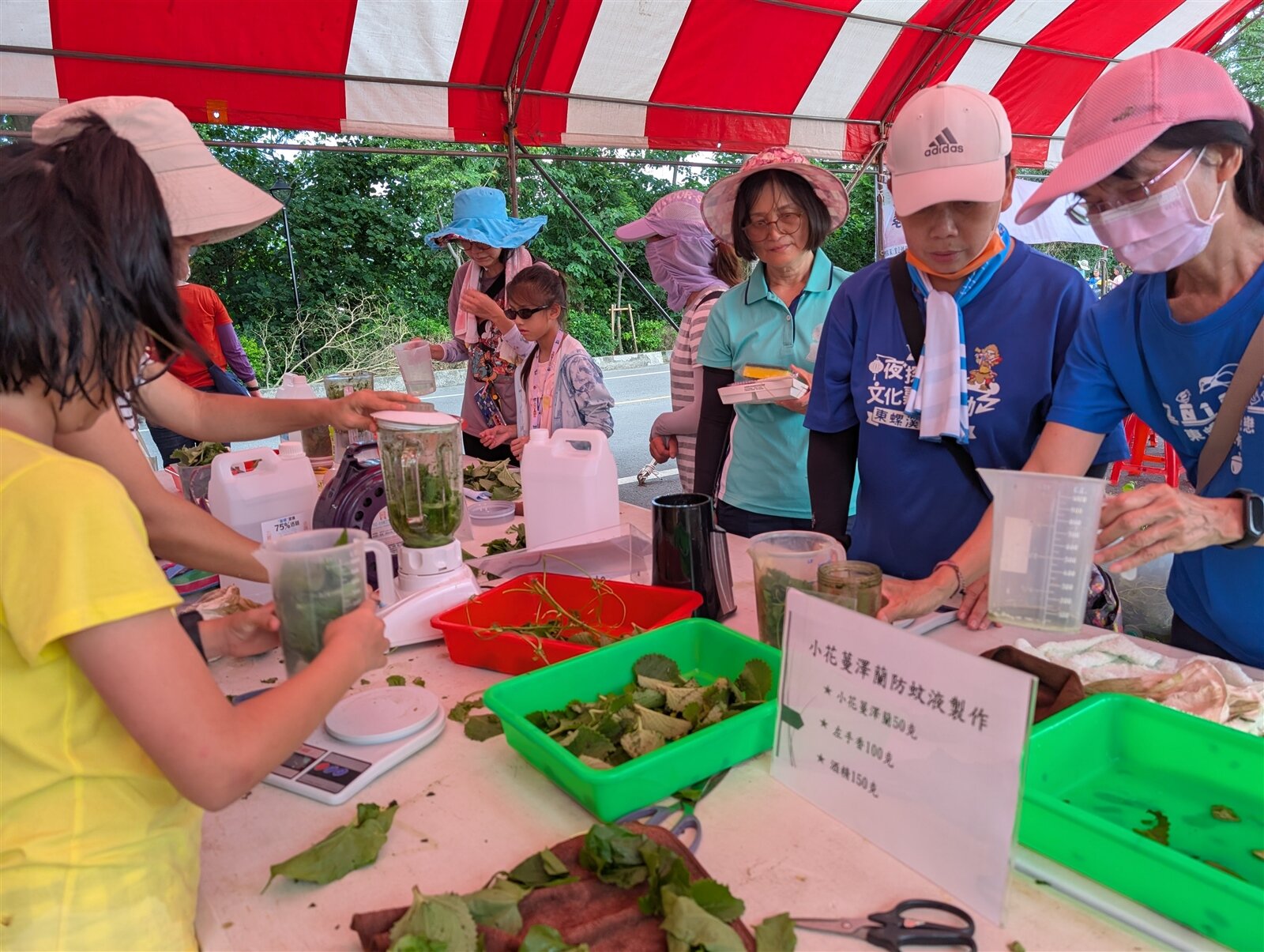 彰化縣東螺溪淨溪和移除小花蔓澤蘭,參加民眾和志工用小花蔓澤蘭、左手香打汁,加入酒精製作防蚊液。記者簡慧珍/攝影