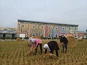 嘉義旅遊新景點「海賊庄」休閒農場取得許可證了　開幕時間曝