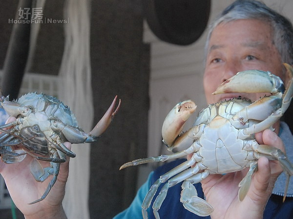 話說漁村故事出書，尋找台南七股「乾媽的店」。