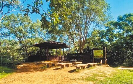 
桃園市羊稠森林步道每年舉辦甲蟲季活動，吸引外縣市民眾前來觀光。（姜霏攝）
