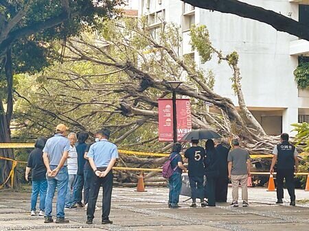 逢甲大學13日發生校樹倒塌壓死學生意外,家屬14日下午重回現場招魂。(馮惠宜攝)