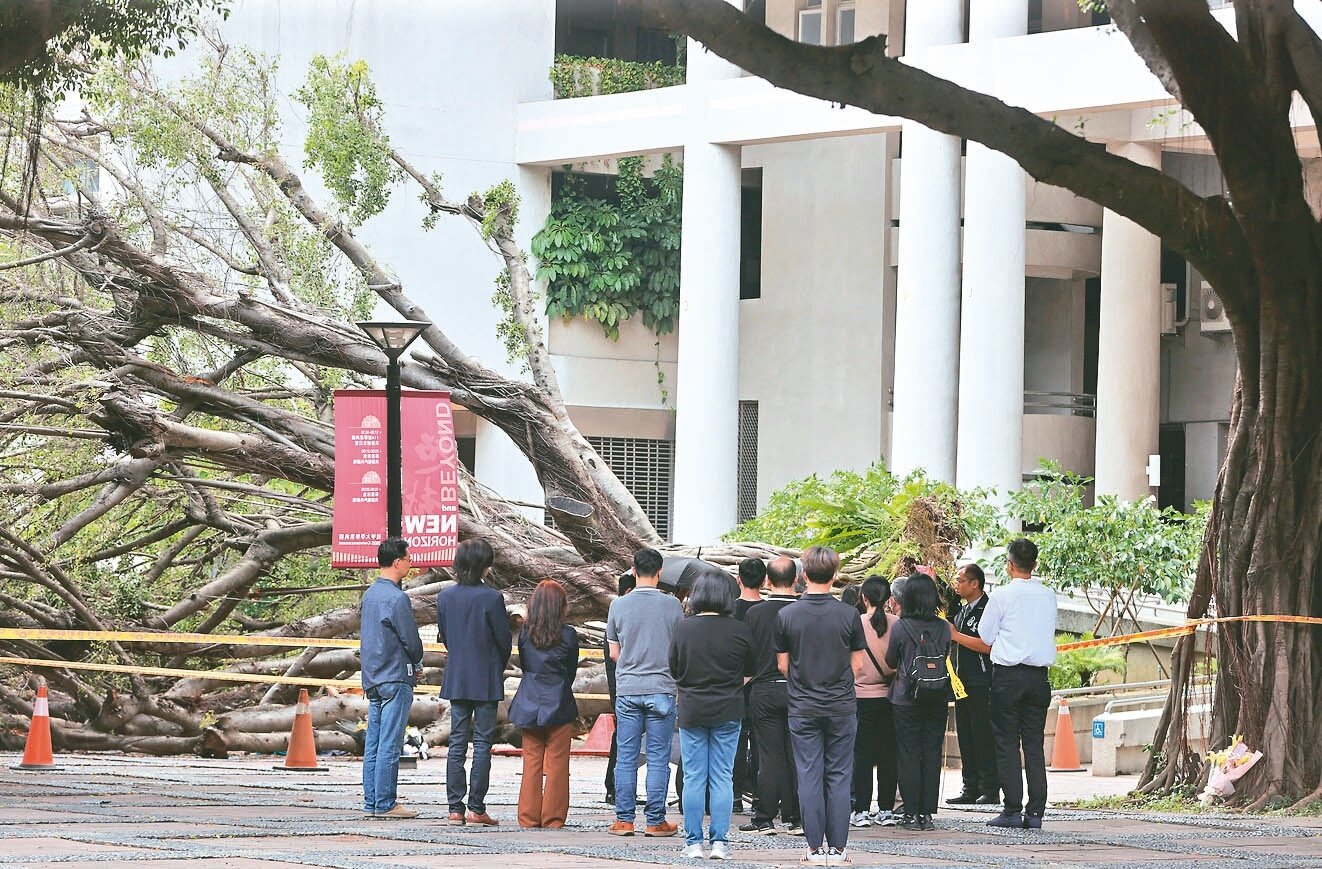 逢甲大學一棵樹齡逾六十年的榕樹十三日倒塌,吳姓碩士生遭壓傷重不治,家屬昨天到場招魂。記者黃仲裕/攝影
