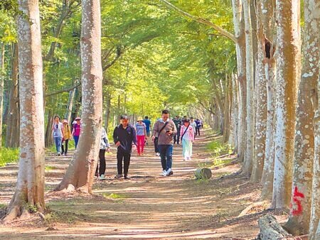 台南仁德成功里15日在虎山森林發起守護牛稠子遺址連署活動,鄉親連署後也走入森林巡禮一圈。(曹婷婷攝)
