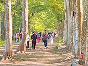 守護牛稠子遺址生態　鄉親連署