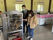 為節省冷氣費…議員爆料屏東動物之家動物和工作人員同處辦公室