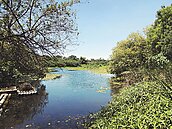 全台第一多　12座濕地在高雄