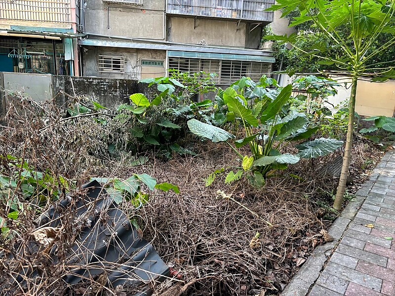 北投、士林、內湖都抓到了!住宅空地違規使用「它」 環保局揭「恐怖危害」:最高開罰5萬元 北市住宅用地抓到使用除草劑。圖/北市環保局提供