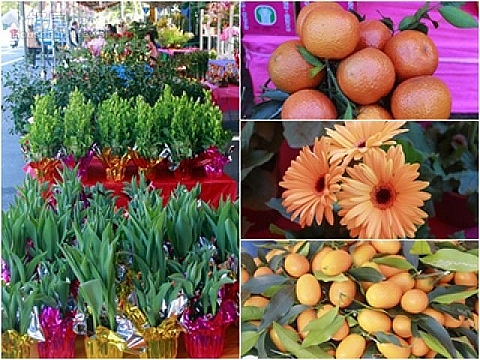 宜縣應景水果花卉,40攤大促銷。